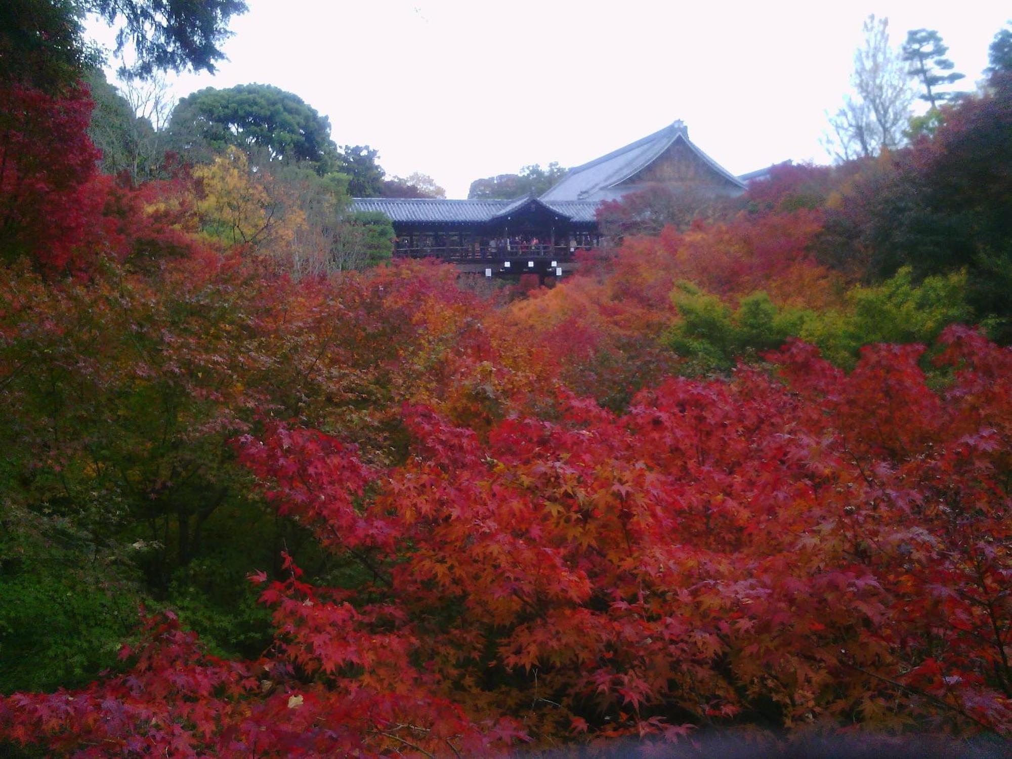 Kamuroan Kyōto Exterior foto