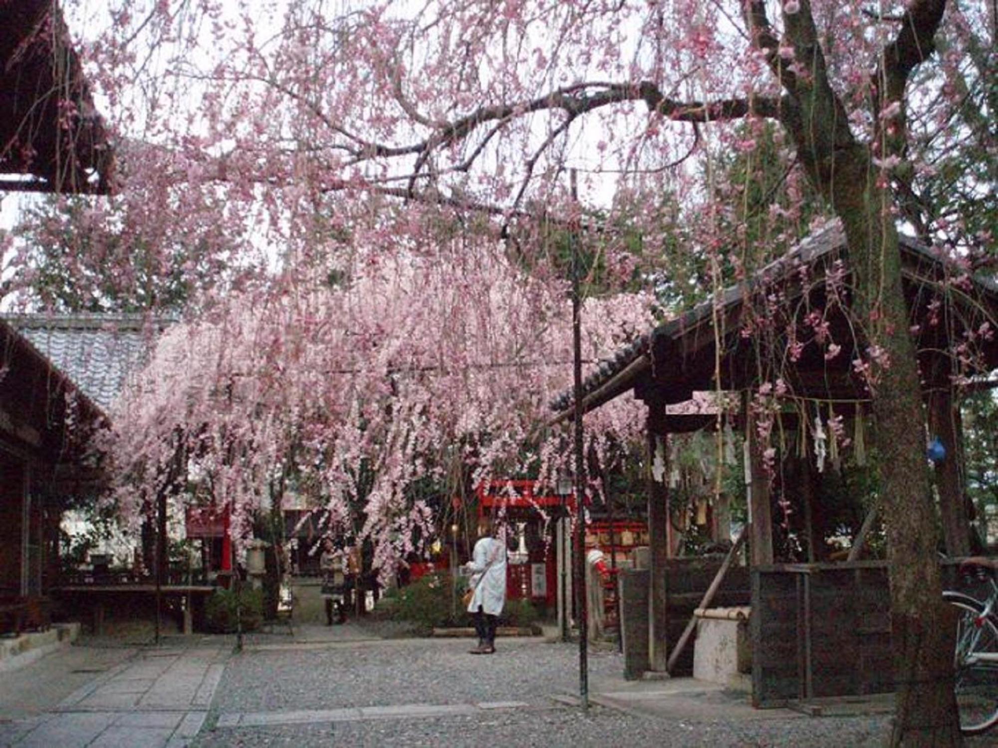 Kamuroan Kyōto Exterior foto